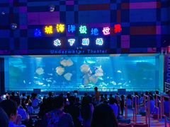 -泉城欧乐堡海洋极地世界