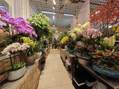-双季花艺园艺市场(浦东店)