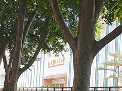 -广西壮族自治区博物馆