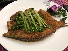 -香巴拉云南餐厅(华莱坞店)