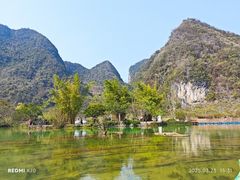 -靖西鹅泉风景区