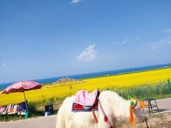 -青海湖国家重点风景名胜区