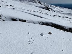 -长白山万达国际滑雪场