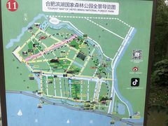 -合肥滨湖国家森林公园