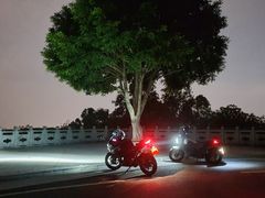 -火炉山森林公园