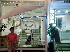 门面-有猫主题·治愈系猫咖(曾厝垵店)