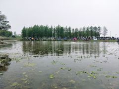 -滆湖低碳生态公园