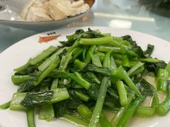 -京北渔家傲