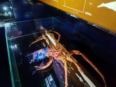 -同济大学四平路校区深海探索馆