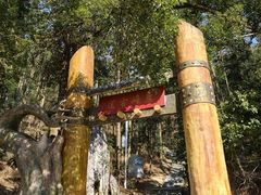 -长沙黑麋峰国家森林公园