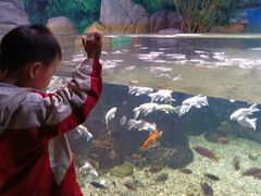 -常州海昌海洋探索馆