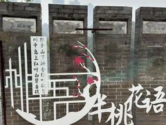 -重庆彩云湖湿地公园