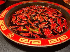 全红锅&nbsp;牛油-矮板凳老火锅(宽窄巷子店)