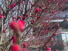 -云里小坐·海泉湾·团建·宴席·下午茶(金堂海泉湾店)