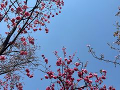 -昆明动物园