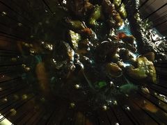 炒鸡血-老幺泉水鸡