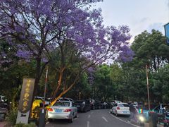 -外滩·云南人家(昆明旗舰店)