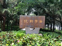 -宋井风景区