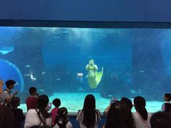 -常州海昌海洋探索馆