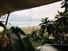 -懒鱼时光馆(沙坪坝店)