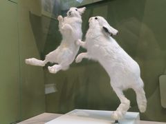 -国家自然博物馆