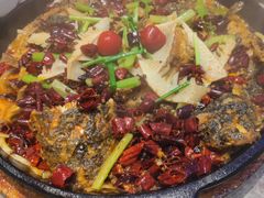 -老板恋上鱼(恒隆广场店)