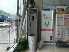 -菲尔斯特宠物医院