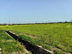 -嘉北郊野公园