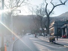 -香山公园