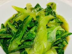 油麦菜-壹盏灯(惠农店)