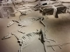 -洛阳周王城天子驾六博物馆