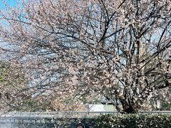 -国际非物质文化遗产博览园