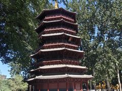 -北京世界公园