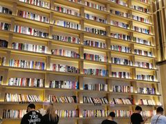 -深影国际影城(学院南路店CGS中国巨幕店)