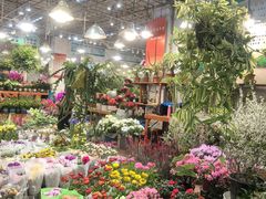 -双季花艺园艺市场(浦东店)