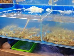 -船梆煮•蒸汽海鲜·生腌干蒸(五四广场店)