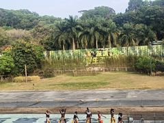 -深圳野生动物园