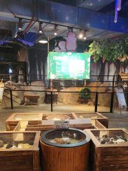 -酷嗒动物文化乐园(cutezoo西溪乐天城店)