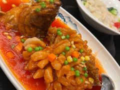 松子桂鱼-新南华大酒店(长寿店)
