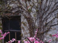 -BreadTalk面包新语·烘焙蛋糕(富力海珠城店)