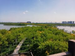 -天津东丽湖风景区