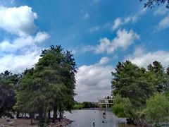 -上海野生动物园