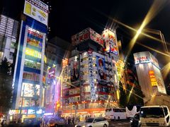 -秋叶原电器街