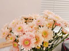 -循礼门鲜花花市(武汉循礼门店)