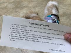 -美联众合动物医院·24h转诊中心