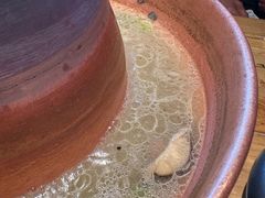 -额尔敦传统涮火锅·冰煮羊(铁东店)