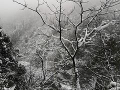 -九峰山