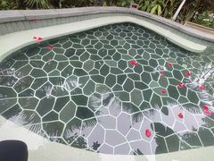 -海兰云天度假区温泉