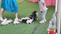 -萌宠亲子动物乐园(槐房万达店)