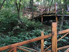 -大岭沟猕猴桃谷风景区